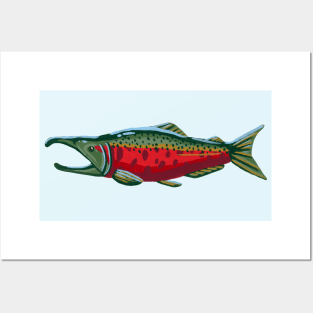 Pacific Salmon - Coho Salmon Posters and Art